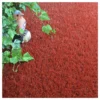 Gazon Synthétique Peps - Couleur Rouge Brique - 20mm - 2m X 4m 2 Gazon Synthétique Peps - Couleur Rouge Brique - 20mm - 2m X 4m -Seve Nature Soldes Boutique 645cec9c0477f2.52468347