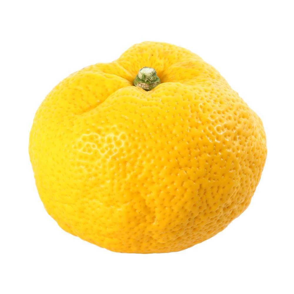 Yuzu AB: Pot 3L, Greffe 8 Yuzu AB: Pot 3L, Greffe â Image 6