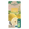 Yuzu AB: Pot 3L, Greffe 2 Yuzu AB: Pot 3L, Greffe -Seve Nature Soldes Boutique 697329 009