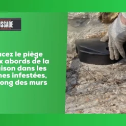 Carpt720 Lot De 4 Boîtes Raticide Canadien Pat'appât Fortes Infestatio 11 Carpt720 Lot De 4 Boîtes Raticide Canadien Pat'appât Fortes Infestatio -Seve Nature Soldes Boutique 6eb79456855960f1