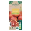 Oranger Moro : AB C3L 1 Oranger Moro : AB C3L -Seve Nature Soldes Boutique 750101 007