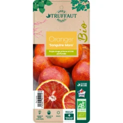 Oranger Moro : AB C3L -Seve Nature Soldes Boutique 750101 2066800