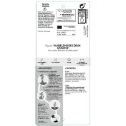 Figuier 'Madeleine Des 2 Saisons':pot 5L -Seve Nature Soldes Boutique 831275 002