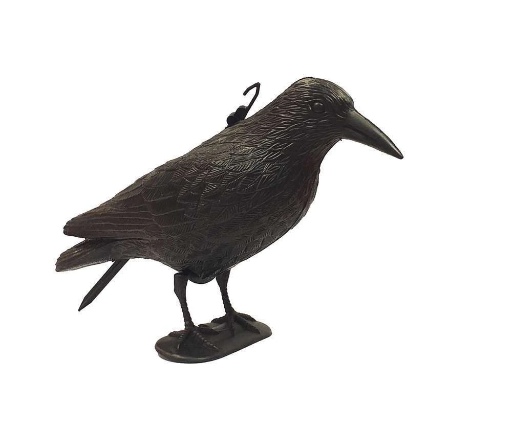 Corbeau Effaroucheur Oiseaux 3 Corbeau Effaroucheur Oiseaux