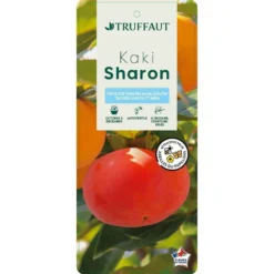 Kaki "Sharon" 1/2T Pot 15L 8 Kaki "Sharon" 1/2T Pot 15L -Seve Nature Soldes Boutique 952753 003