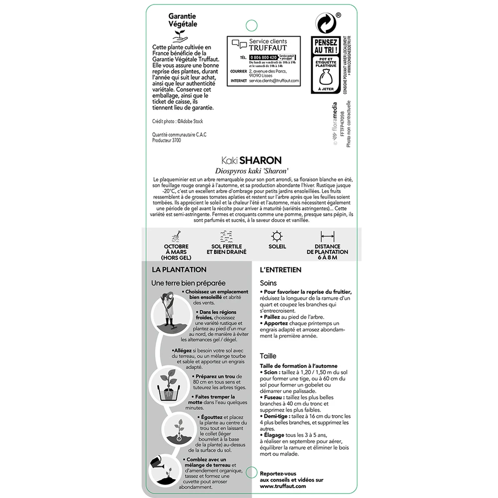Kaki "Sharon" 1/2T Pot 15L 4 Kaki "Sharon" 1/2T Pot 15L – Image 2