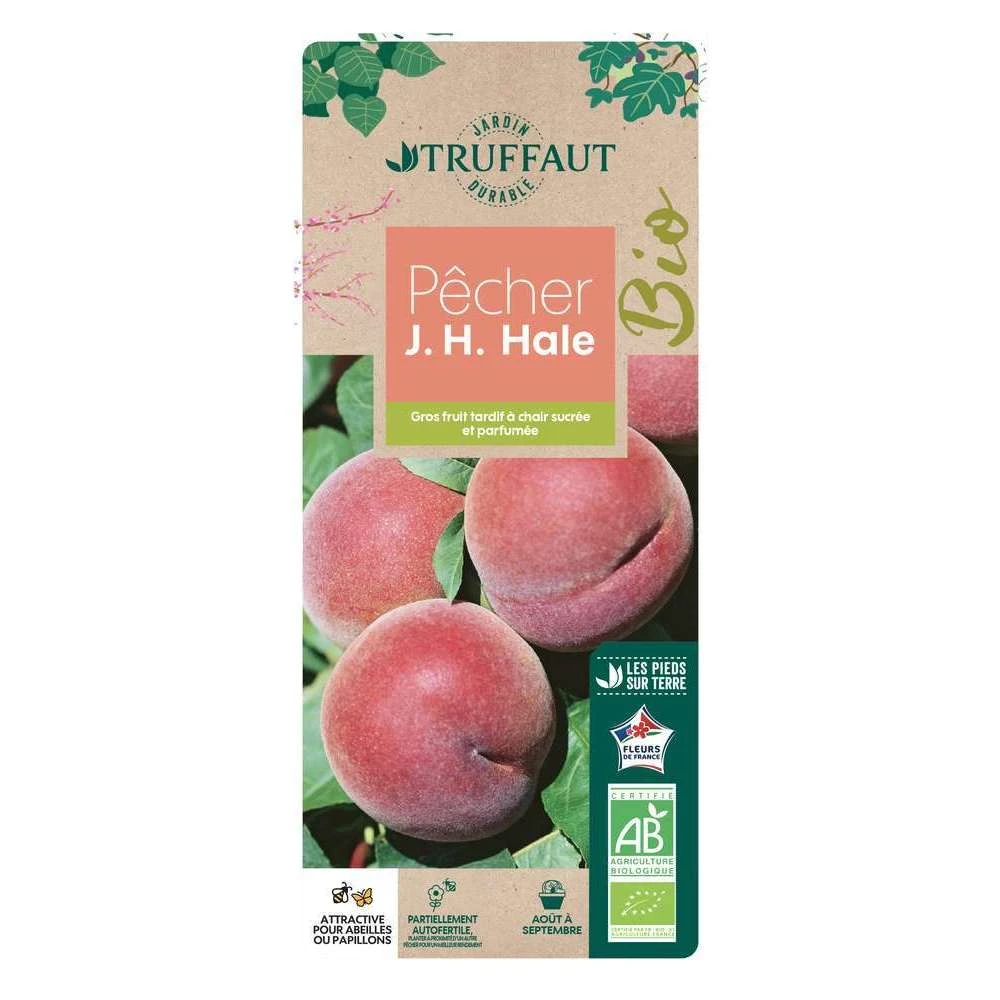 Pêcher à Chair Jaune JH Hale BIO, Gobelet 2 Ans 3 Pêcher à Chair Jaune JH Hale BIO, Gobelet 2 Ans