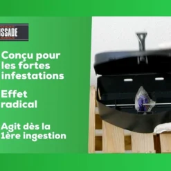 Carpt720 Lot De 4 Boîtes Raticide Canadien Pat'appât Fortes Infestatio 10 Carpt720 Lot De 4 Boîtes Raticide Canadien Pat'appât Fortes Infestatio -Seve Nature Soldes Boutique b9825ca4bf47ed21