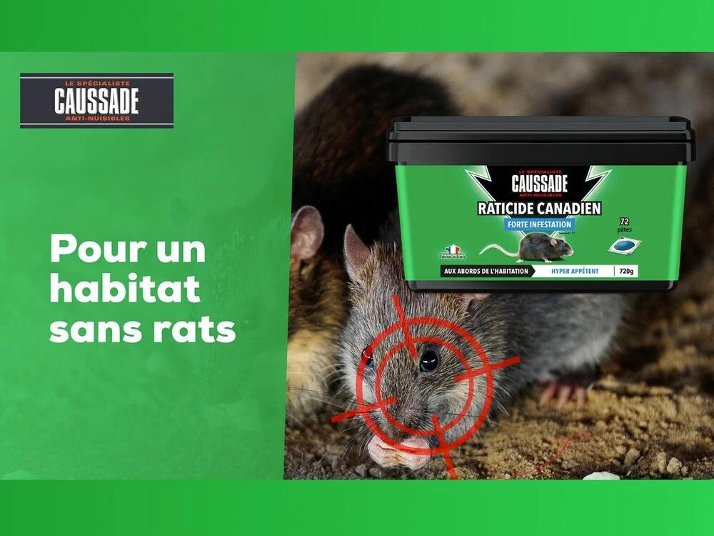 Carpt720 Lot De 4 Boîtes Raticide Canadien Pat'appât Fortes Infestatio 4 Carpt720 Lot De 4 Boîtes Raticide Canadien Pat'appât Fortes Infestatio – Image 2