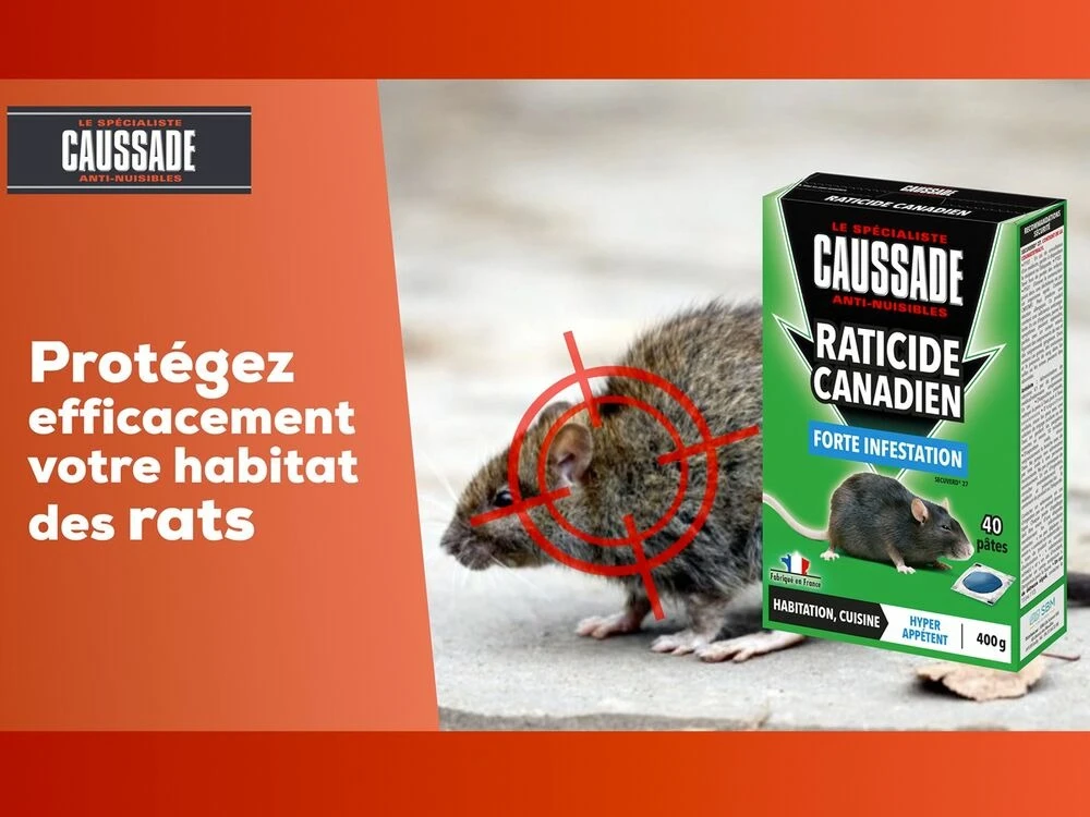 Carpt400 Raticide Canadien Forte Infestation Appât Prêt à L'emploi Nou 4 Carpt400 Raticide Canadien Forte Infestation Appât Prêt à L'emploi Nou – Image 2